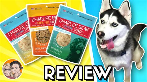 12 recipes for homemade dog treats. Favorite Dog Treats - Charlee Bear - Low Calories - YouTube