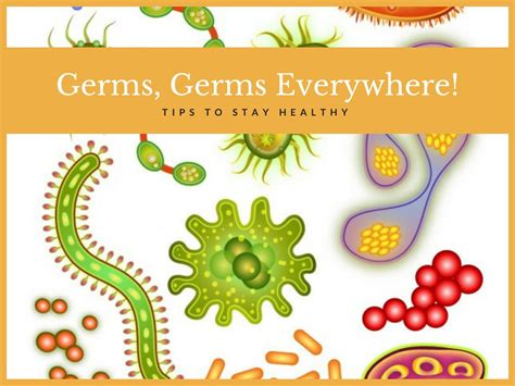 Ppt Germs Everywhere Tips To Stay Healthy Powerpoint Presentation