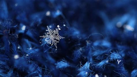 🥇 Winter Snow Ice Crystals Wallpaper 15230