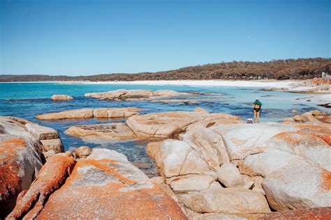 Australian Swimming Spots Youll Long To Dive Into The Lead South