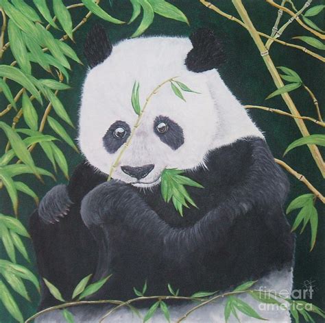 Giant Panda Painting By Alan Wilkinson Fine Art America