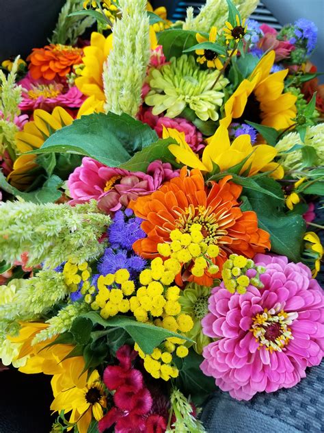 Fresh Cut Flowers Singapore How To Care For Fresh Cut Flower