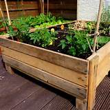 Pictures of How To Make A Flower Box From Pallets
