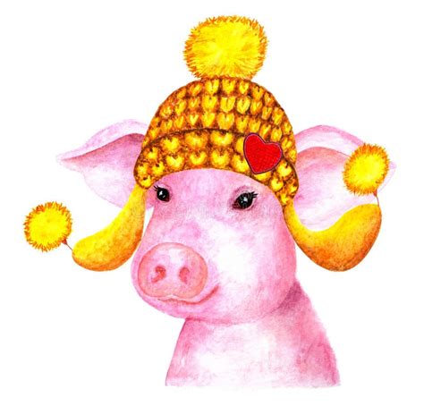Portrait Of Pig Watercolor Illustration Stock Illustration