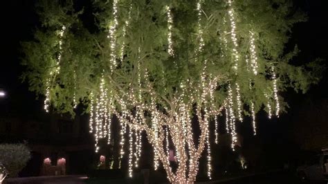 Weeping Willow Lights Landscape Lighting Phoenix Az Stay Off The