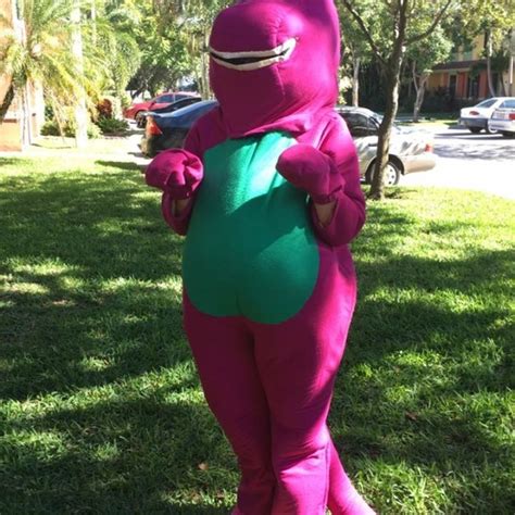 Barney Costume Costumes Poshmark