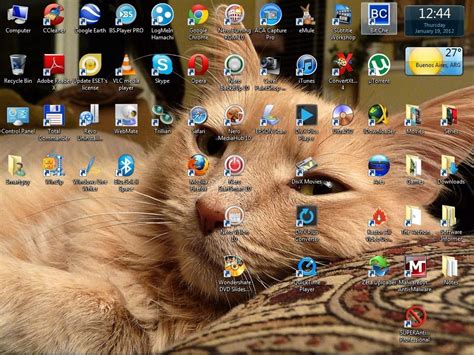 Cats Anytime Theme Pack Latest Version Get Best Windows Software