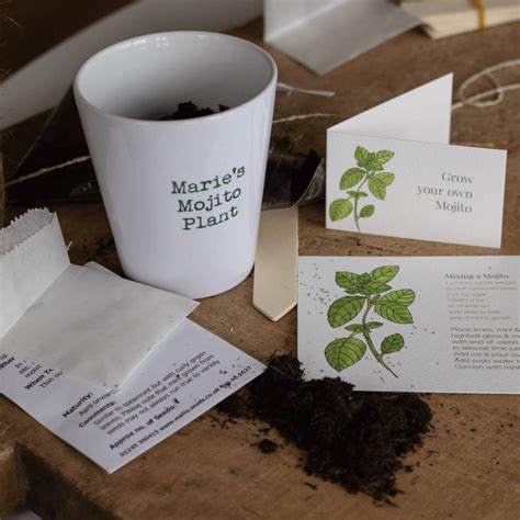 Personalised Grow Your Own Mojito Kit By Snapdragon