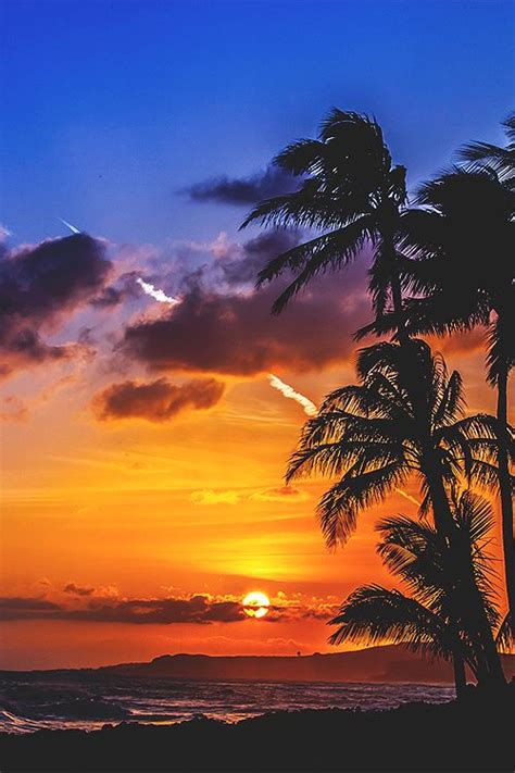 Tropical Sunset La Beℓℓe ℳystère Beautiful Sunset Amazing Sunsets