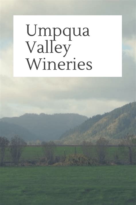 Five Great Wineries In The Umpqua Valley Fix Me A Little Lunch