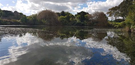 Auckland Botanic Gardens Guided Walk