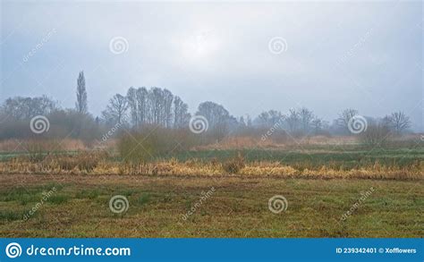 Misty Marsh Landscape In The Flemish Countryside Stock Image Image Of