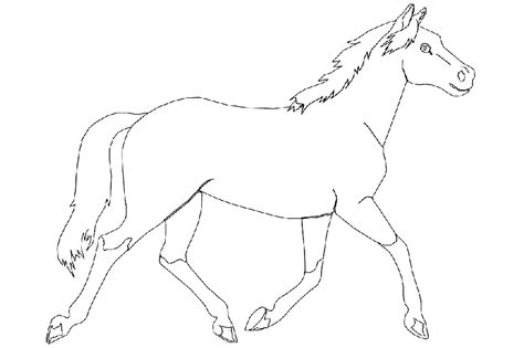 Konji 6 Bojanke Za Djecu Za Printanje I Bojanje