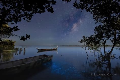 Breathtaking Photos Of The Milky Way Shining Above Bioluminescent Water