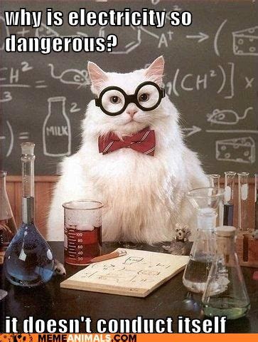 I Can Has Cheezburger Memes Memes Chemistry Cat Nerdy Jokes