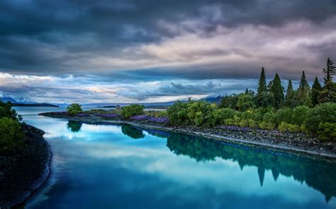 Wallpaper Trees Landscape Sea Bay Lake Nature Shore Reflection