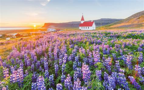 29 Reasons Why Iceland Is Incredible This Spring Reykjavik Silence