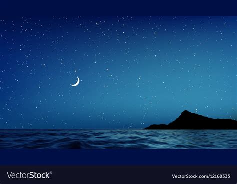 Blue Night Sky And Sea With Lots Of Stars Vector Image