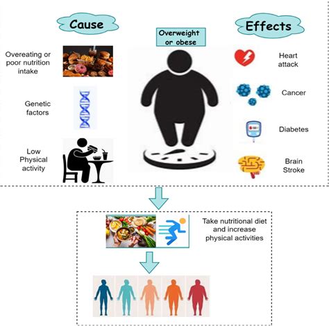 Obesity Cause Effects And Prevention Download Scientific Diagram