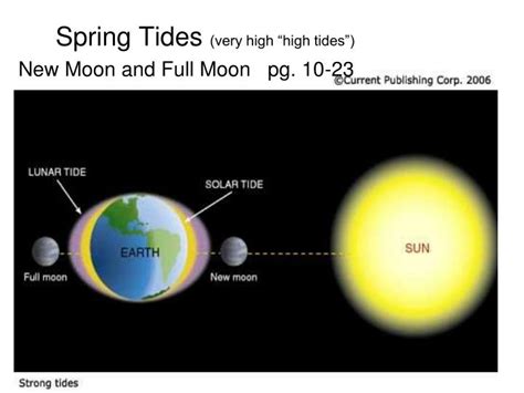 Ppt Spring Tides Very High “high Tides” New Moon And Full Moon Pg