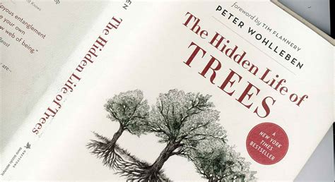 The Hidden Life Of Trees Book Is A Must Read For All Nature Lovers