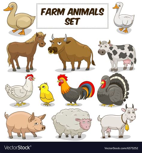 Farm Animals Cartoon Pictures