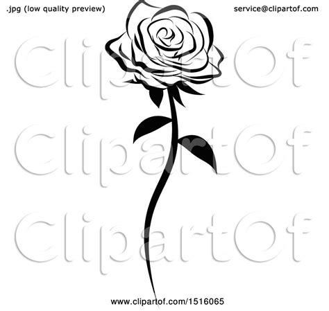 Clipart Of A Black And White Single Rose Royalty Free Vector