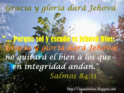 Compartamos La Palabra De Elohim Porque Sol Y Escudo Es Jehová Dios