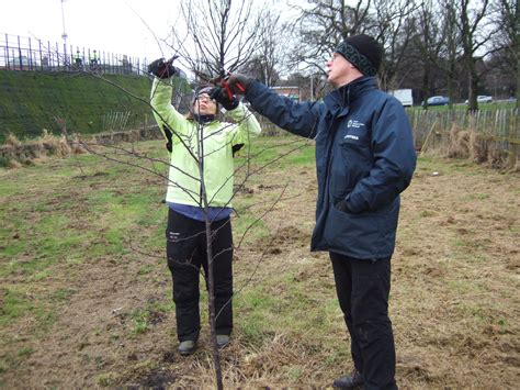 Massive range of perennials & grasses. What to do in your fruit and vegetable garden in Scotland ...