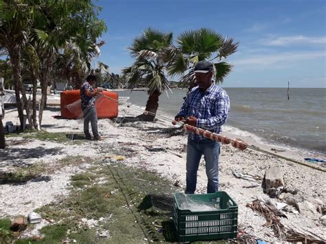Pescadores Viven Un Panorama Complicado En Ciudad Del Carmen Poresto