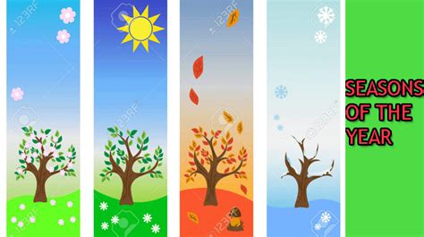 What Are The 4 Seasons In Order A Definitive Guide