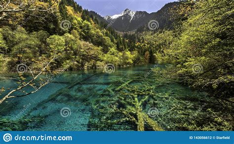 Green Lake In Jiuzhaigou National Park In Sichuan China Stock Photo
