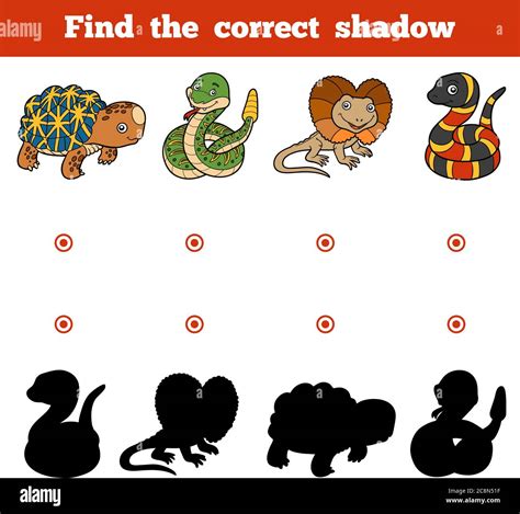 Find The Correct Shadow Education Game For Children Vector Set Of