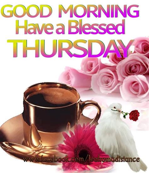 Good Morning Have A Blessed Thursday Pictures Photos And Images For Facebook Tumblr