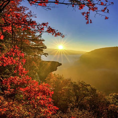 Autumn Sunrise Landscape At Hawksbill Crag Ozark Forest Photograph By