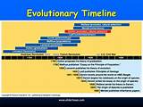 Theory Of Evolution History Timeline Pictures