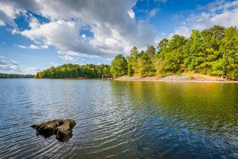 Top 10 Best Lakes For Swimming In North Carolina Journeyz