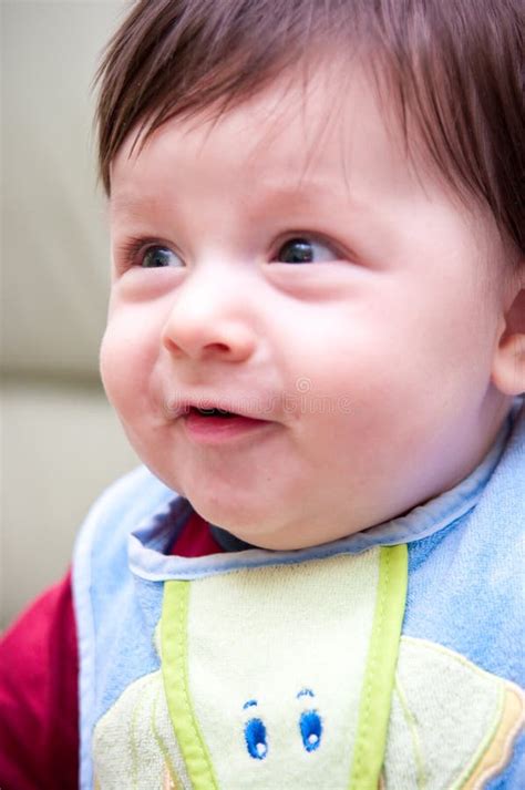 Cute Baby Boy Portrait Stock Image Image Of Brunet Upward 13466701