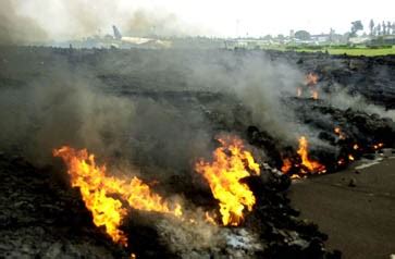 23.05.2021 | aktualisiert vor 1 minuten. Bilderstrecke zu: Naturkatastrophe: Ausbruch von Seuchen ...
