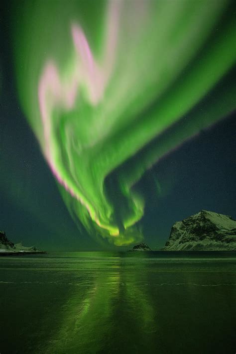 Northern Lights Aurora Borealis Fill Sky Over Vik Beach Vestvågøy