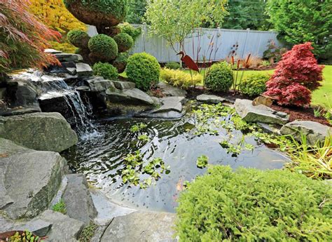 How to Create a Beautiful Waterscape in the Garden | Gardena