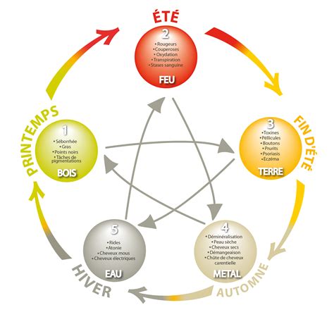 5élémentstrensparent 01 Méric Mélé Réflexologie Niromathé