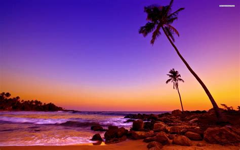Tropical Beach Sunset Colors Wallpaper | Sunset pictures, Sunset colors, Sunset