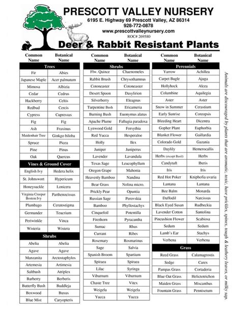 Daffodil flower bulbs all bloom beautifully the first spring, and then give you more flowers each year. Deer & Rabbit Resistant Plants | Rabbit resistant plants ...