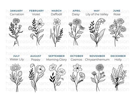 This Birth Month Flowers Svg Bundle Includes 12 Hand Drawn Flower