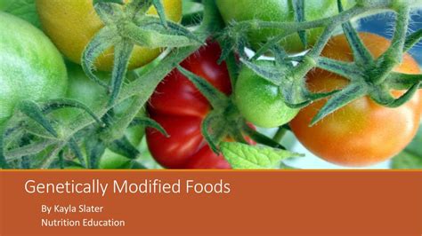 Ppt Genetically Modified Foods Powerpoint Presentation Free Download