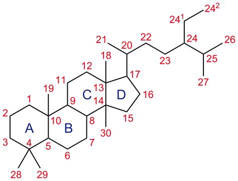 Zu ihnen gehören die sexualhormone der keimdrüsen und die corticosteroide der nebennierenrinde. Steroide - Wikipedia