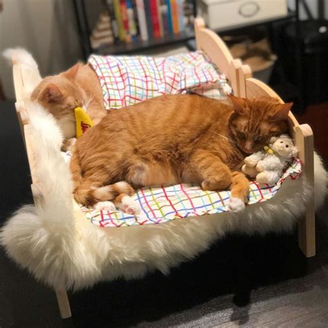 Cat Owners Turn Ikea Toy Furniture Into Adorable Pet Beds