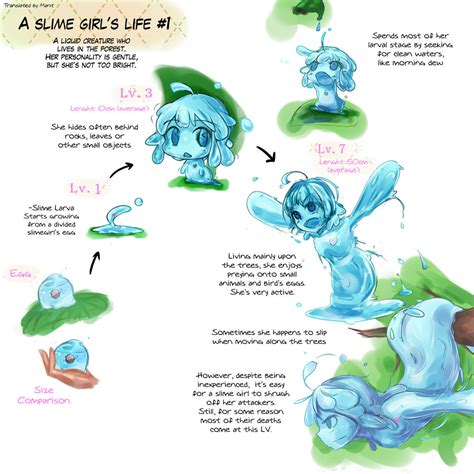 Life Cycle Of Slime Girl 1 Monster Girls Know Your Meme
