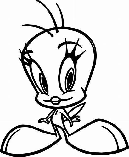 Bold Coloring Line Tweety Pages Wecoloringpage